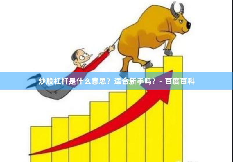 炒股杠杆是什么意思？适合新手吗？- 百度百科